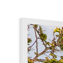 Load image into Gallery viewer, Blue Gate Santorini Framed Print
