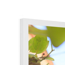Load image into Gallery viewer, Kumquat Framed Print
