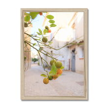 Load image into Gallery viewer, Kumquat Framed Print
