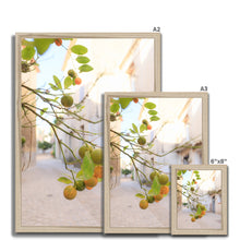 Load image into Gallery viewer, Kumquat Framed Print
