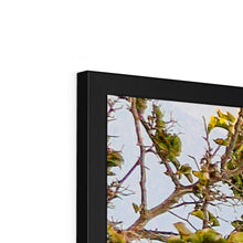 Load image into Gallery viewer, Blue Gate Santorini Framed Print

