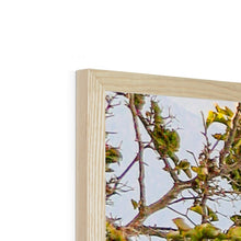 Load image into Gallery viewer, Blue Gate Santorini Framed Print
