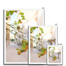 Load image into Gallery viewer, Kumquat Framed Print

