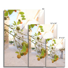 Load image into Gallery viewer, Kumquat Fine Art Print
