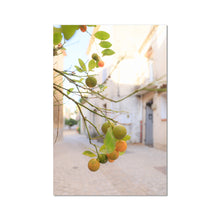Load image into Gallery viewer, Kumquat Fine Art Print
