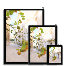 Load image into Gallery viewer, Kumquat Framed Print
