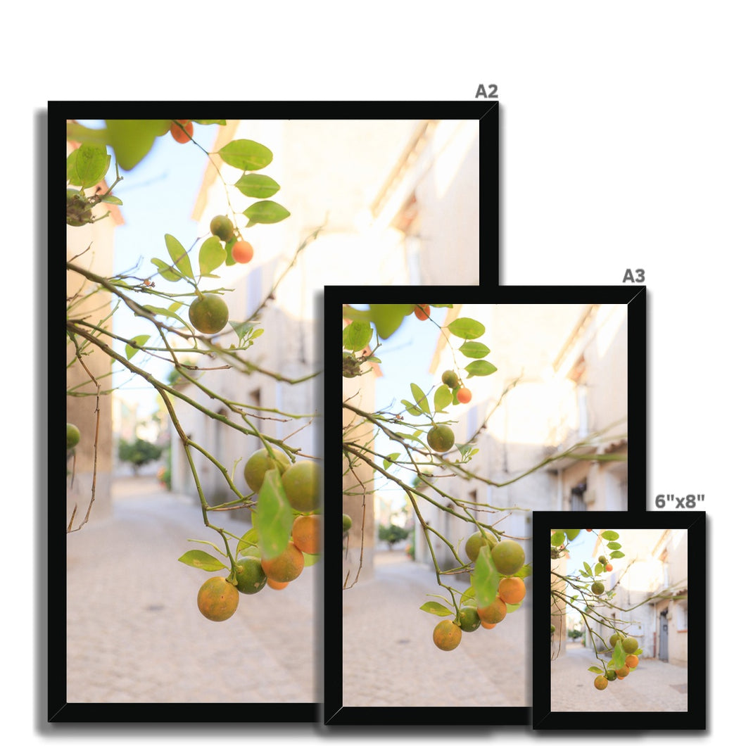 Kumquat Framed Print