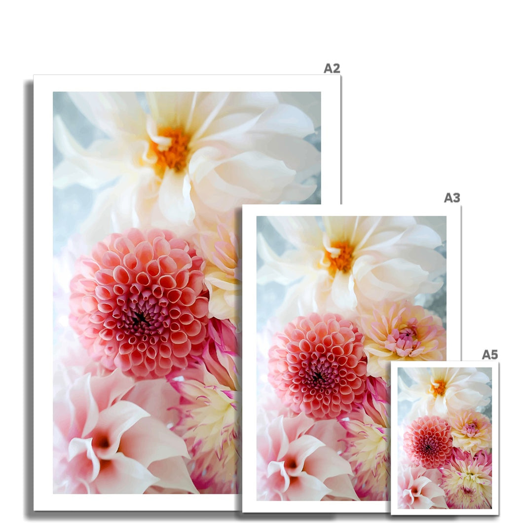 Dreamy Dahlias Photo Art Print